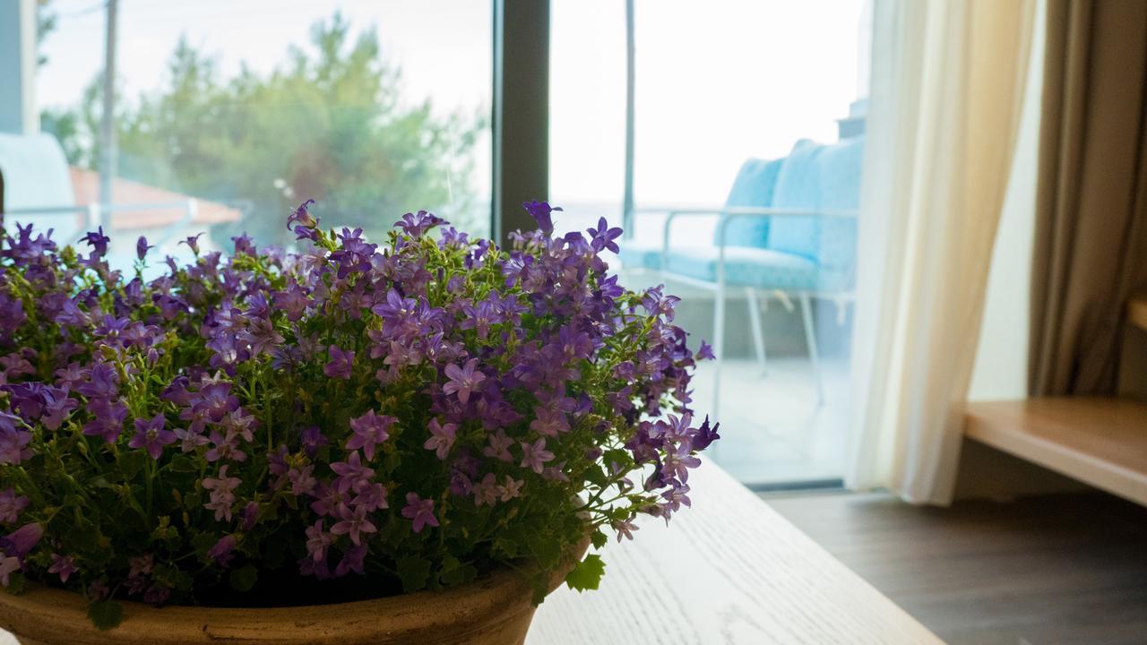 Costa Domus Blue Luxury * Nikiti (Sithonia)