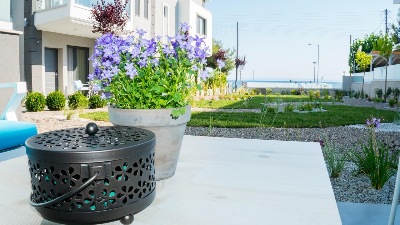 Costa Domus Blue Luxury *
